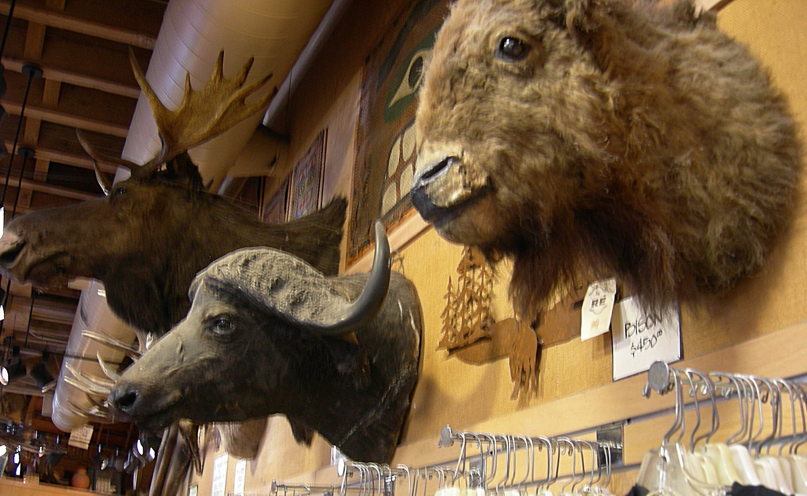 Bearded Lady Vintage & The Mystic Museum
