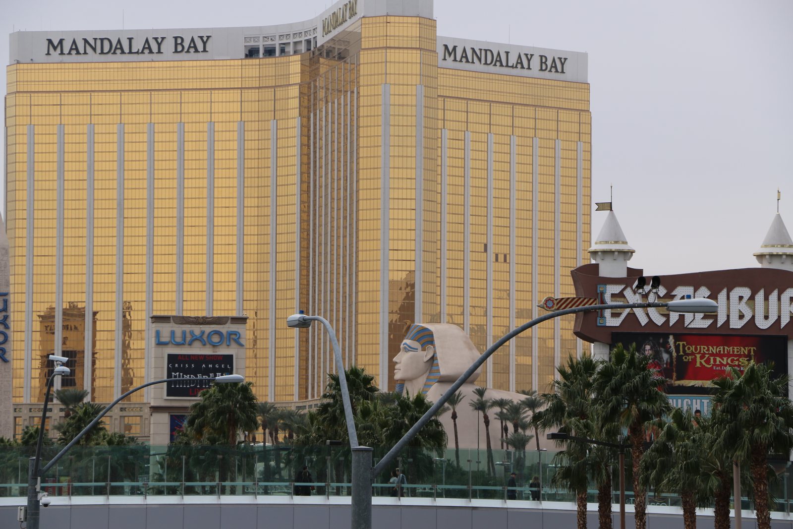Mandalay Bay + Allegiant Stadium